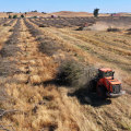 The Decline of US Farms: Causes and Solutions