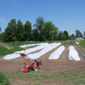 Maximizing Profitability on a 5 Acre Farm