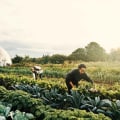 Why Every Sustainable Farm Needs An Advantages Of Organic Farming PPT