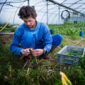 The Future of Sustainable Agriculture: The Power of Crop Diversity and Organic Farming