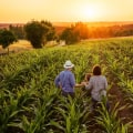 The Truth About American Farms: Debunking Common Misconceptions