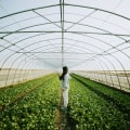 The Future of Sustainable Agriculture: A Comprehensive Guide to Promoting Environmental and Economic Sustainability