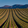 The Benefits of Small Farms for the Environment