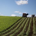 Sustainable Agriculture: The Key to a Greener Future