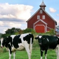 Discover The Best Sustainable Farm Tours Near Los Angeles For Eco-Friendly Adventures