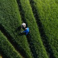 The Future of Sustainable Agriculture: Promoting Environmental Stewardship and Long-Term Sustainability