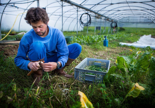 Sustainable Farming: Striving for a Balanced Future