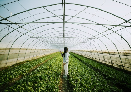 The Power of Crop Diversity in Sustainable Farming