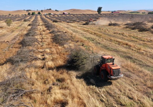 The Decline of US Farms: Causes and Solutions