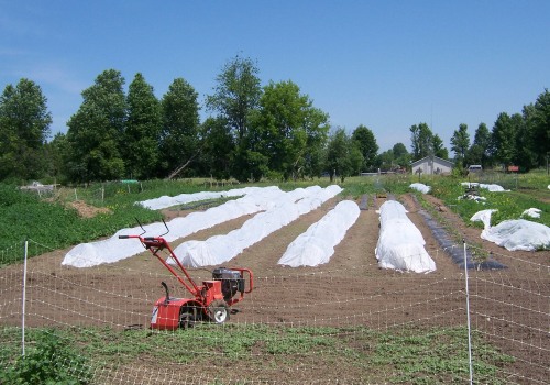 Maximizing Profitability on a 5 Acre Farm