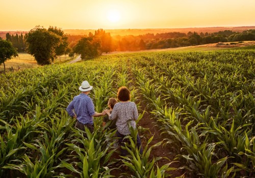 The Truth About American Farms: Debunking Common Misconceptions