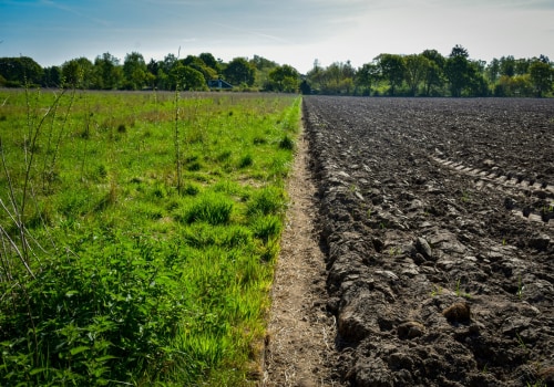 What Is Regenerative Ranching and Farming in Agriculture? A Sustainable Solution for Modern Agriculture