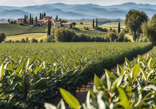 Embrace Sustainability With The Organic Harvesting Experience At Bloom Ranch Of Acton