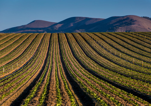 The Benefits of Small Farms for the Environment