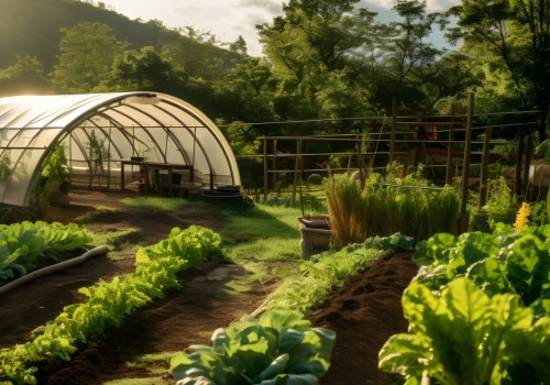 How Commercial Farming Examples Are Pioneering Sustainable Agriculture