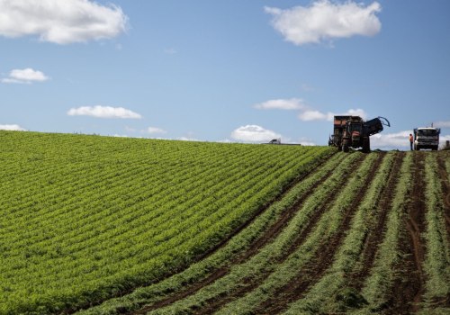 Sustainable Agriculture: The Key to a Greener Future