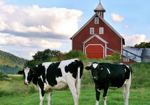 Discover The Best Sustainable Farm Tours Near Los Angeles For Eco-Friendly Adventures