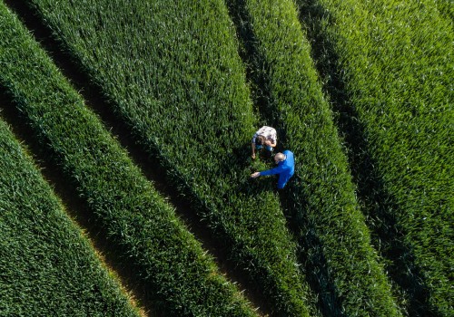 The Future of Sustainable Agriculture: Promoting Environmental Stewardship and Long-Term Sustainability